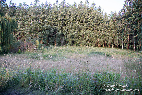 LCG & GWG Tree Farm