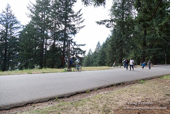 Mt Tabor Top- View 3 West