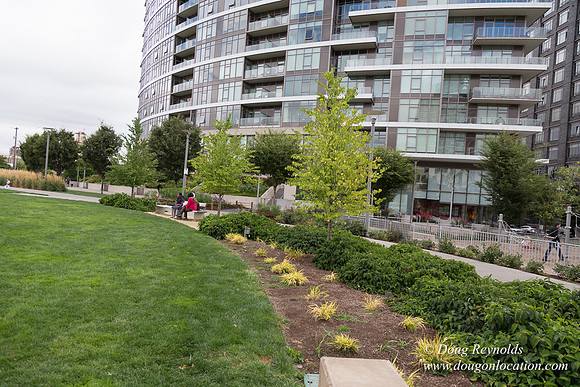 The Fields Park
