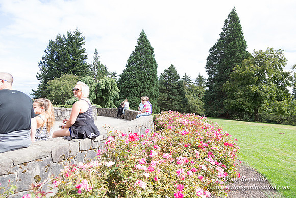 Council Crest Park View