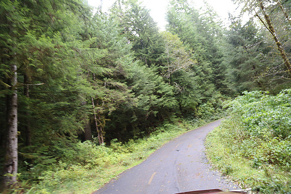 Saddle Mt Rd-0335
