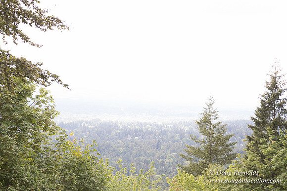 Council Crest Park View