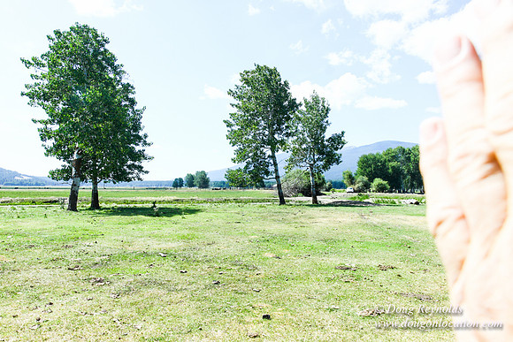 Ranch 18