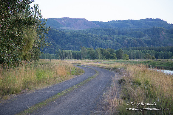 LCG & GWG Tree Farm