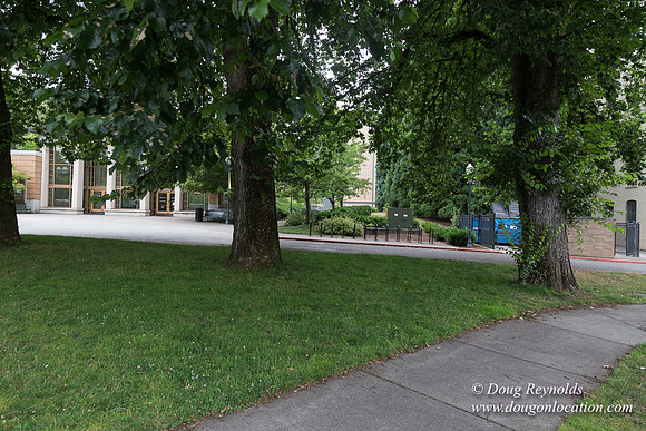 Portland Streets
