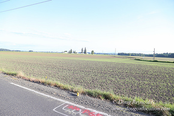 Toms Rd Side-6346
