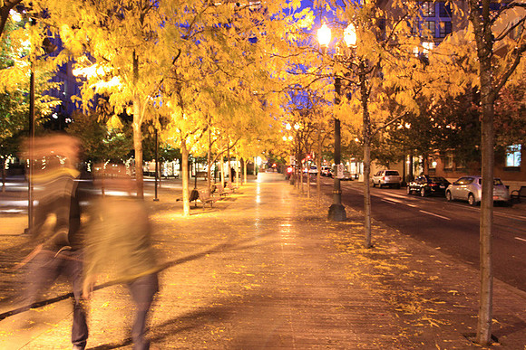 Jamason Park-6583