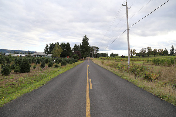 Dilly Rd-1501