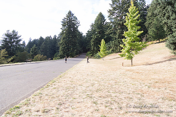 Mt Tabor- View 5 SBT West