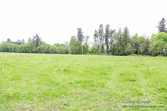 Ranch 21 at River