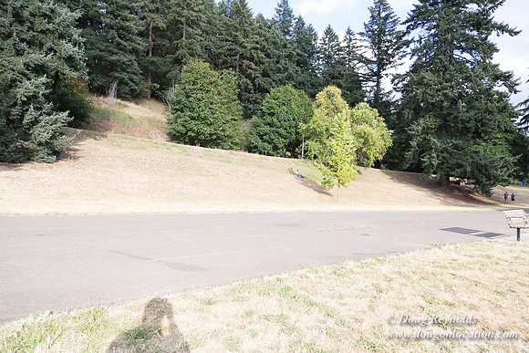 Mt Tabor- View 5 SBT West