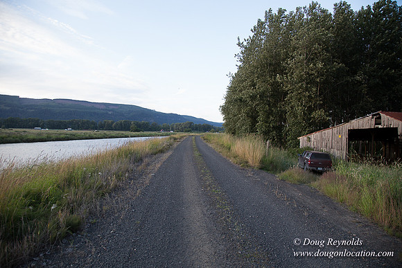 LCG & GWG Tree Farm