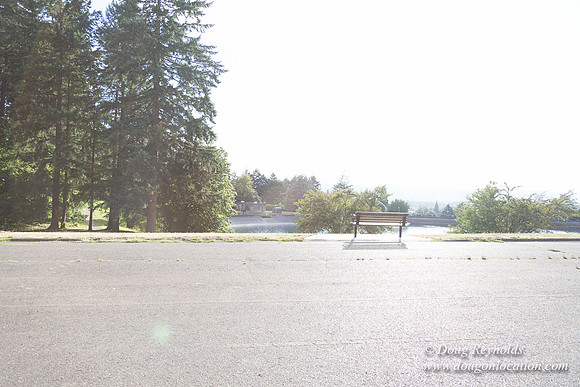 Mt Tabor- View 5 SBT West