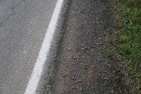 Morres Valley Rd-1667