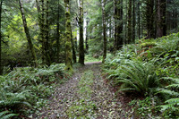 Saddle Mt Rd-0316