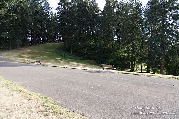 Mt Tabor- View 5 SBT West