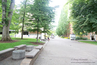 Portland Streets