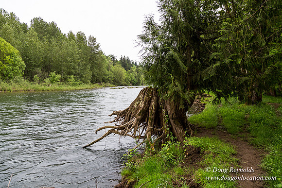 Ranch 21 at River