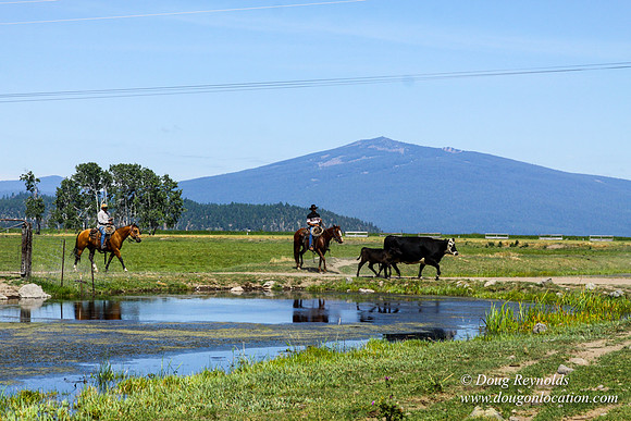 Ranch 18