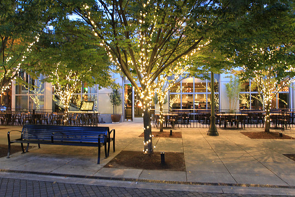 Jamason Park-6541