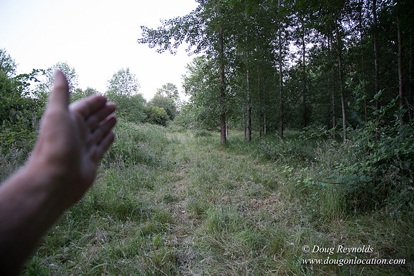 LCG & GWG Tree Farm