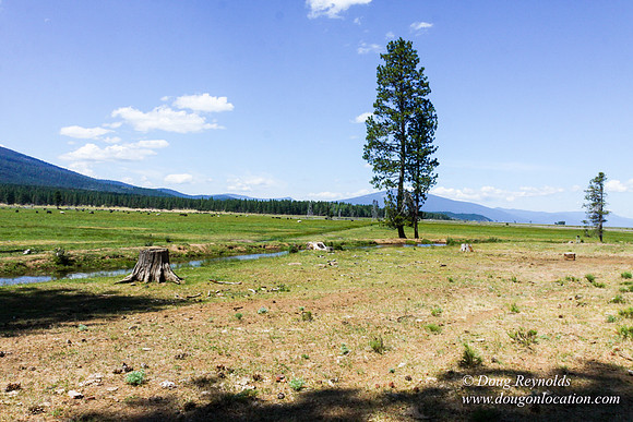 Ranch 18