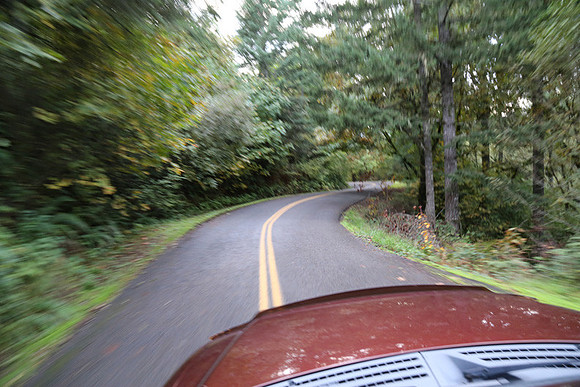 Woodland Ln-1759