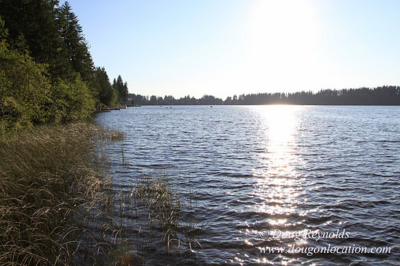 Boat, Cabin, Dock, Home, "House lake", WA, Washington, Yard, deck, "green. Beach" Vacation