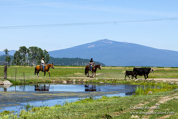 Ranch 18