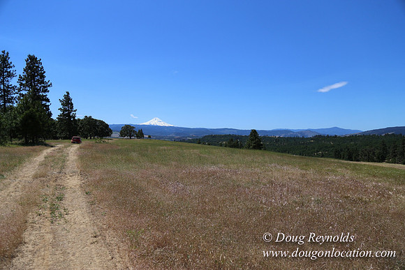 Brothers Ranch-8473