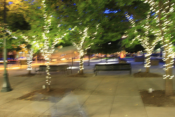 Jamason Park-6565