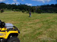 Ranch 6