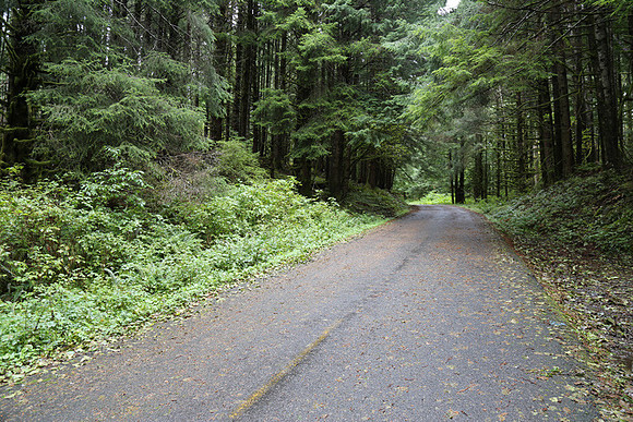 Saddle Mt Rd-0303