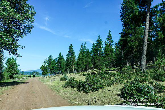 Ranch 18