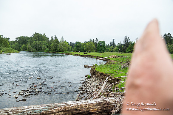 Ranch 21 at River