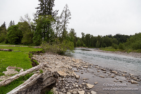 Ranch 21 at River