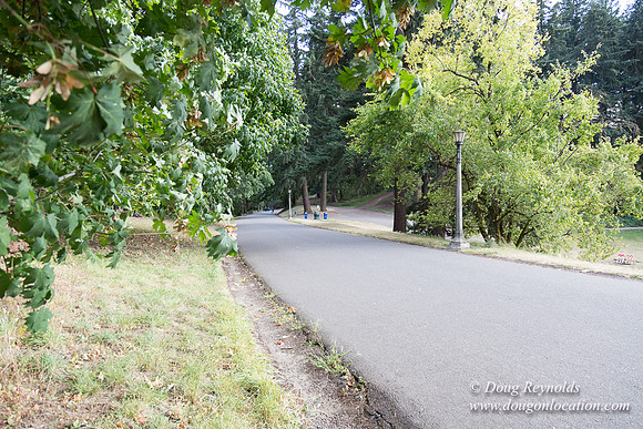 Mt Tabor- View 5 SBT West