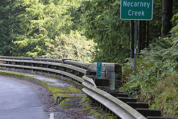 Necarney Cr 101 Brdg-1219