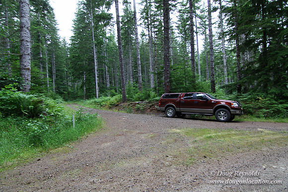 Tree & Forested locations