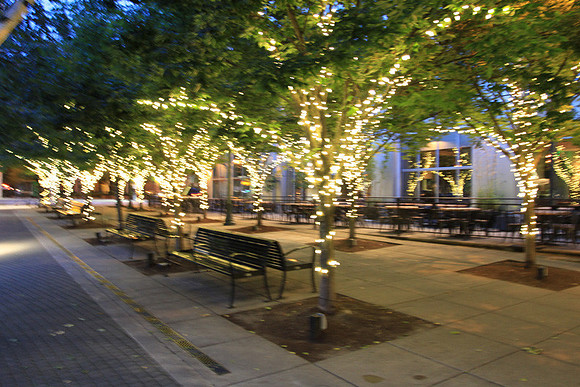 Jamason Park-6549