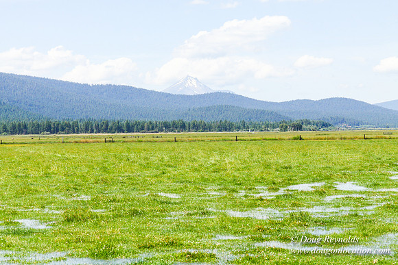 Ranch 18