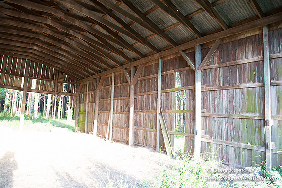 LCG & GWG Tree Farm