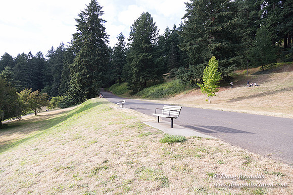 Mt Tabor- View 5 SBT West