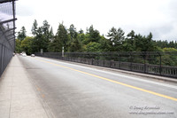 VIsta Bridge
