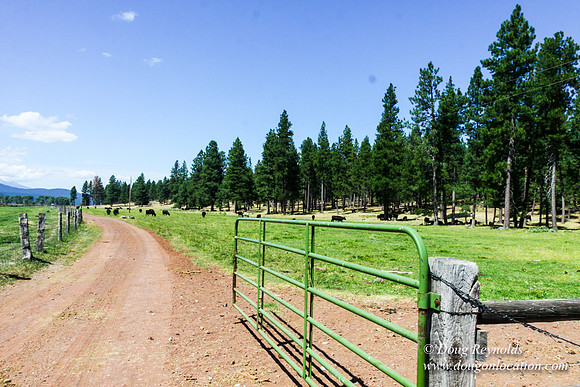 Ranch 18