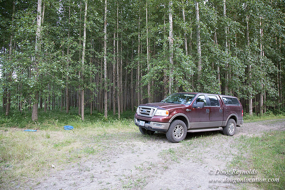 LCG & GWG Tree Farm