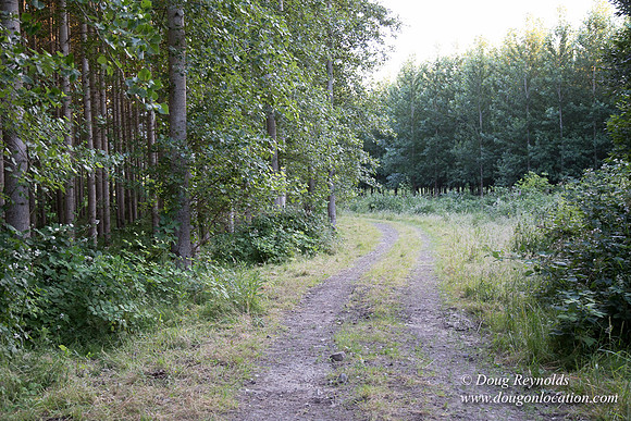 LCG & GWG Tree Farm