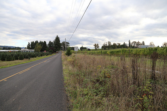 Dilly Rd-1563