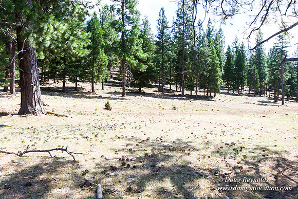 Ranch 18