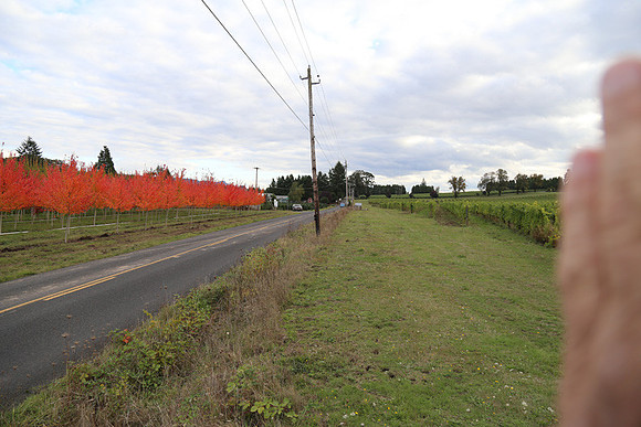 Dilly Rd-1576
